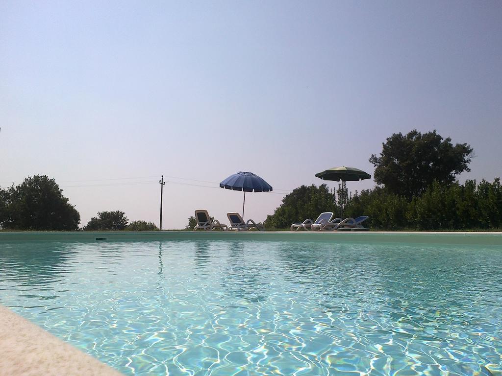 Farm stay Monte Dell'olmo Trevignano Romano